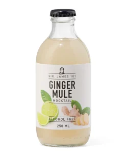alcoholvrije ginger mule 250ml