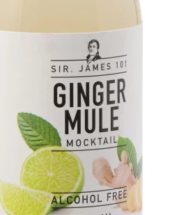 alcoholvrije ginger mule 250ml