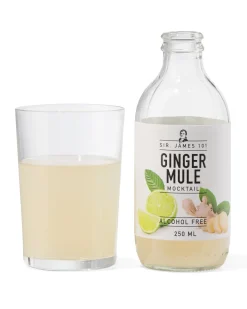 alcoholvrije ginger mule 250ml