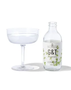 alcoholvrije G&T 250ml