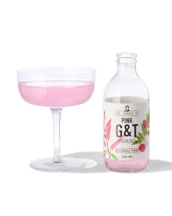 alcoholvrije pink G&T 250ml