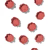 amuse cups bietensmaak - 12 stuks