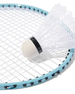 badmintonset