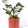bloempot ⌀19x19cm oranje