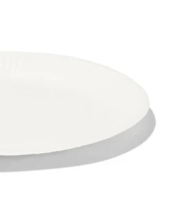 borden karton Ø22.6 cm 20 stuks