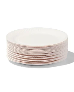 bordjes karton Ø17.5 cm 20 stuks