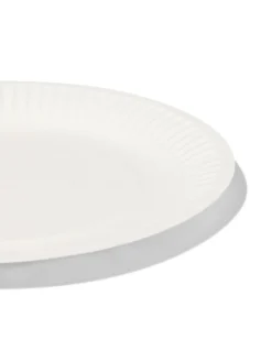 bordjes karton Ø17.5 cm 20 stuks