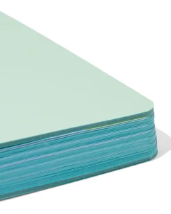 budgetplanner voor 12 maanden 21x15