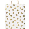 cadeautas XL 45x28cm stippen