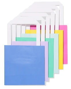 cadeautasjes S - 6 stuks