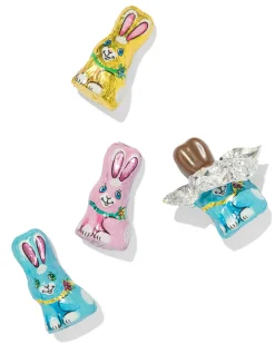 chocolade mini haasjes 50g