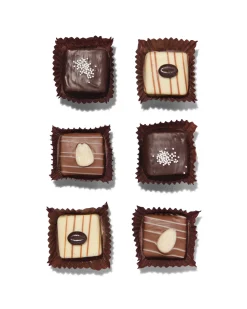 chocolade petit fours