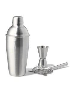 cocktailshaker set 500ml rvs