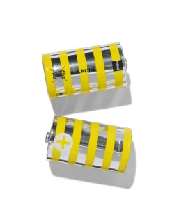 D alkaline batterijen - 2 stuks
