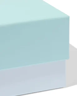 doos L 31x22.5x9cm papier blauw
