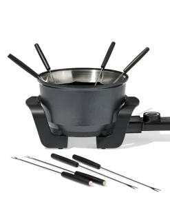 fondueset rvs