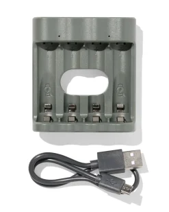 GP batterij lader