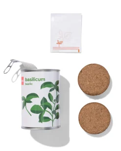 groeiblik basilicum