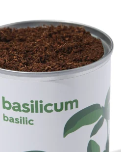 groeiblik basilicum