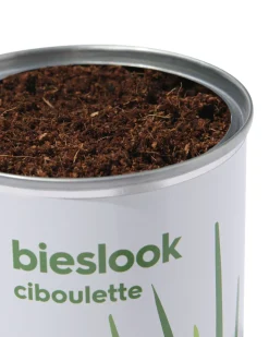 groeiblik bieslook