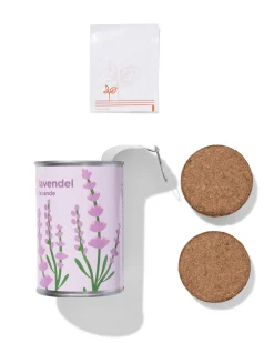 groeiblik lavendel