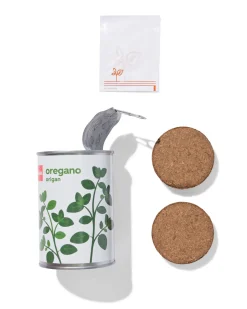 groeiblik oregano
