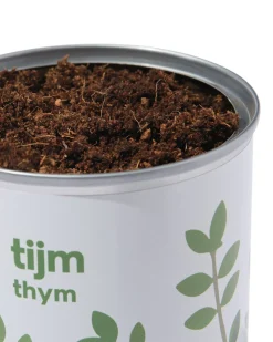 groeiblik tijm