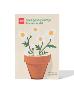 groeiplant spiegeleiplantje
