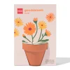 groeipot goudsbloem