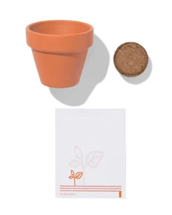 groeipot goudsbloem