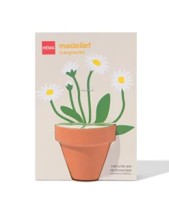 groeipot madeliefje