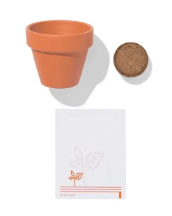 groeipot madeliefje