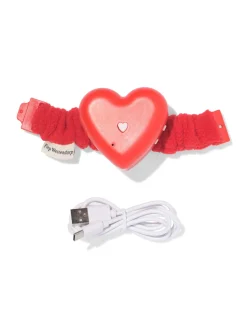 halsband voor knuffel Takkie en Siepie met stemrecorder