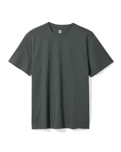 heren T-shirt regular fit grijs