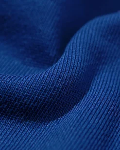 herentrui Daryl regular fit sweatstof felblauw