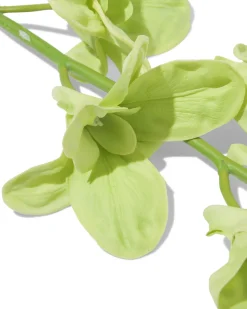 kunstbloem dendrobium 55cm rubber groen