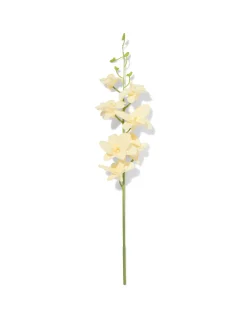 kunstbloem dendrobium 55cm rubber wit