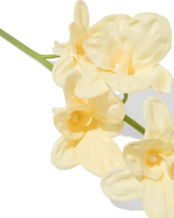 kunstbloem dendrobium 55cm rubber wit