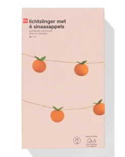 lichtsnoer 6m met 6 sinaasappels voor binnen en buiten