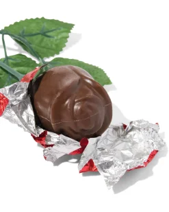melkchocolade roos 20gr