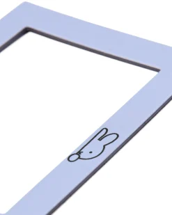 nijntje magneet setje voor foto's