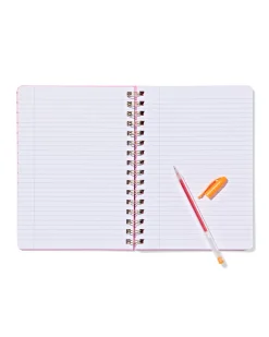 notitieboek 21.1x16cm strepen roze