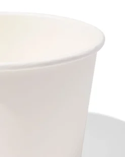 papieren bakjes 550ml wit - 10 stuks