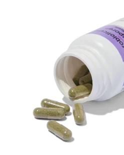 probioticum Lactospore® - 30 stuks