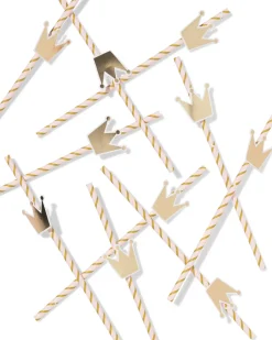 rietjes papier prinses - 10 stuks