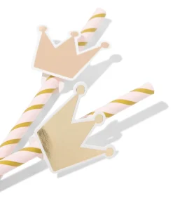 rietjes papier prinses - 10 stuks