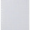ringbandpapier geruit 5x5mm - 100 stuks