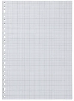 ringbandpapier geruit 5x5mm - 100 stuks