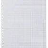 ringbandpapier geruit 10x10mm - 100 stuks