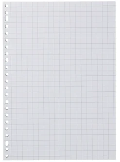 ringbandpapier geruit 10x10mm - 100 stuks